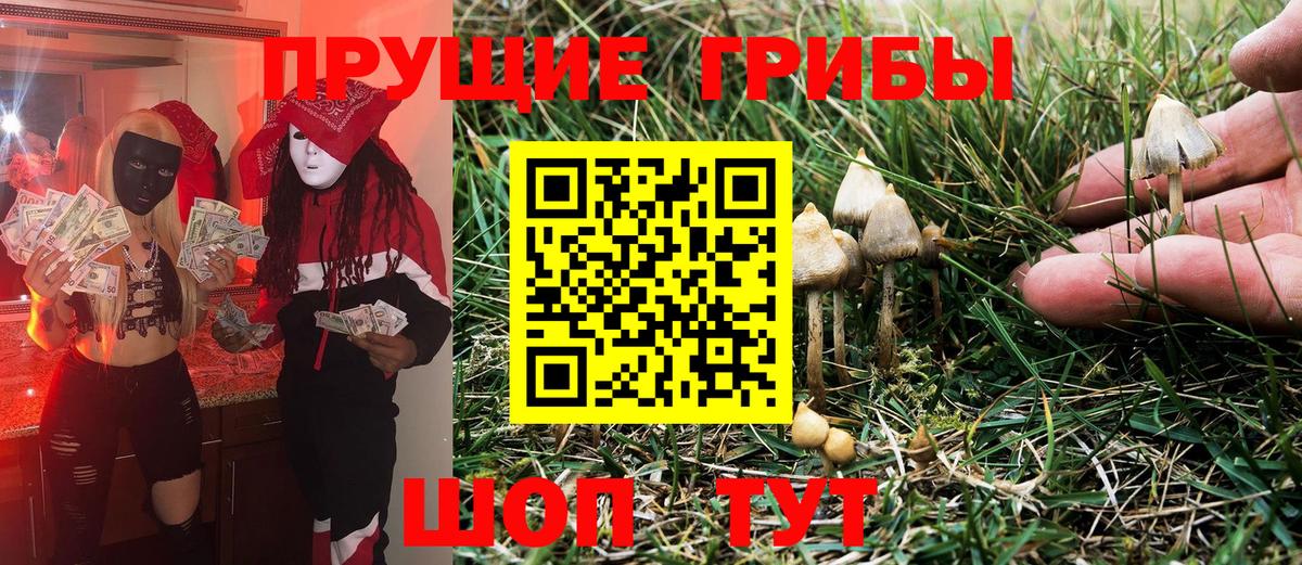 Лабинск  Псилоцибиновые грибы Psilocybe  купить наркоту  Вход с VPN 
